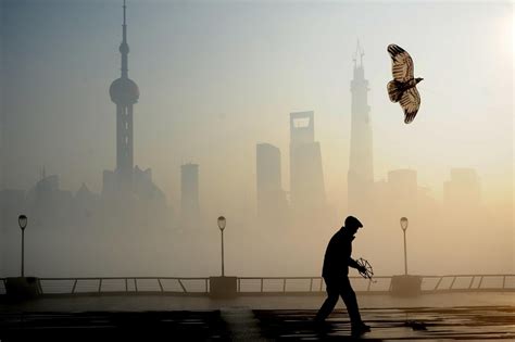 Air pollution causes at least 8m early deaths a year, and the energy consultancy group wood mackenzie predicts china's oil demand will recover to near normal levels in the second quarter of 2020. Record air pollution cancels flights in Shanghai | Al ...