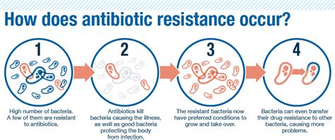 What Is Antibiotic Resistance Everything You Need To Know