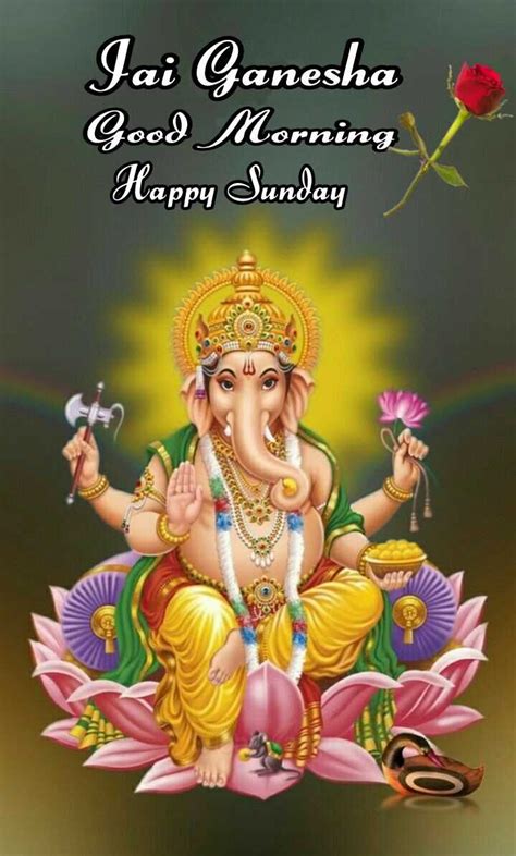 🌞good Morning🌞 Jai Ganesha Good Morning Happy Sunday Sharechat