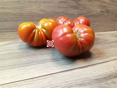 The Best Red Beefsteak Tomatoes Deans Red Ruffles Tomato Seeds For Sale