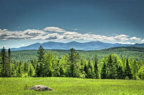 Vermont Summer Day By David England