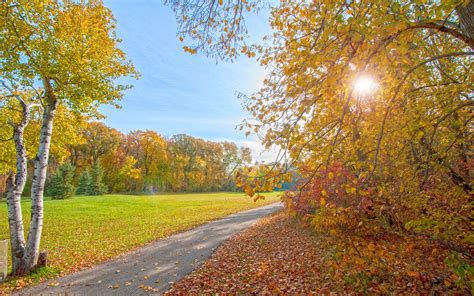 Autumn Park Path Trees Sun Rays Wallpaper Nature And Landscape