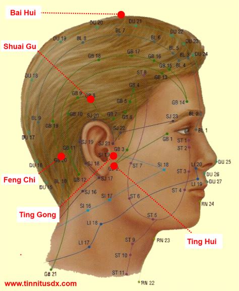 Top 5 Tinnitus Acupressure Points All Acupuncturists Use