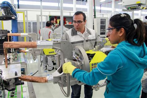 Actividades Económicas De México Por Sectores Y Ejemplos De Empresas
