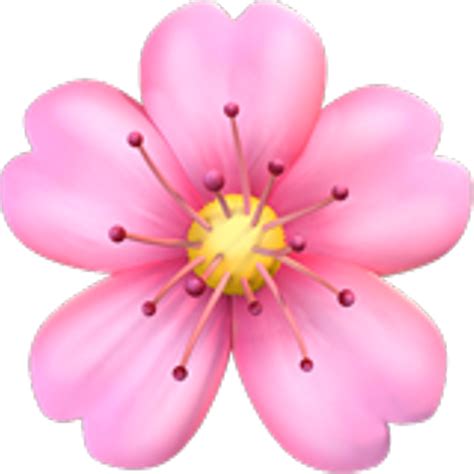 Cherry Blossoms Emoji Flower Emoji Clipart Ios Emoji