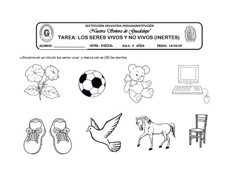 Tarea Los Seres Vivos Y No Vivos By Katy Hormiguita Issuu