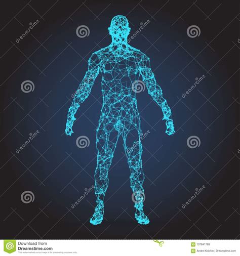 Low Poly Wireframe Human Body Abstract Illustration Stock