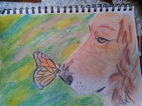 Dog And Butterfly Painting Drawings Art