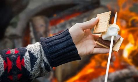 The Science Behind Toasting The Perfect Marshmallow