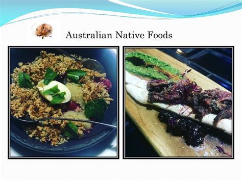Ppt Australian Native Foods Sydney Powerpoint Presentation Free