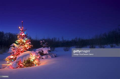 Christmas Tree Outdoors Glowing At Night Covered In Snow