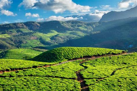 How To Plan Your Kerala Itinerary Creative Travel Guide