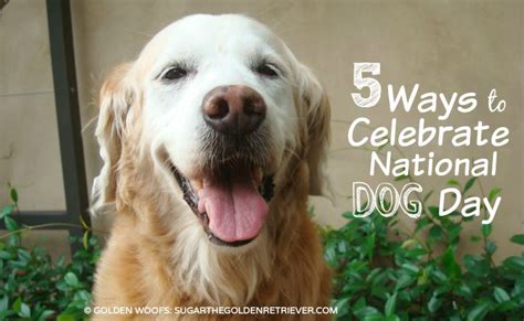 The 2021 autotrader 10 best cars for dog lovers list is out now on the car dealer's website, just in time for national dog day, and we think their picks are very solid. 5 Ways to Celebrate National Dog Day - Golden Woofs