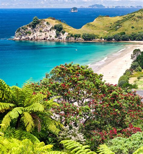 Beautiful Hahei Beach Coromandel Peninsula New Zealand Honeymoon In