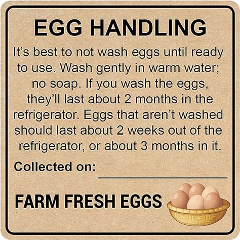 Amazon Com Farm Fresh Egg Handling Instruction Sticker 2 Inch 300pcs