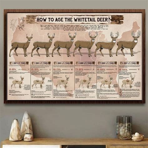 New How To Age The Whitetail Deer Canvas