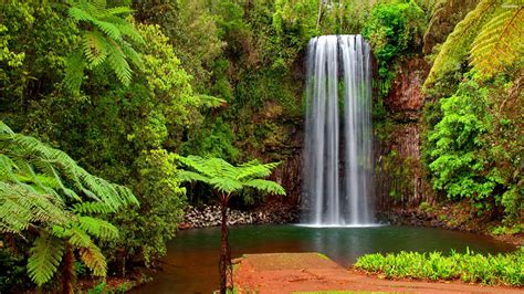 Download Greenery Tropical Nature Waterfall 4k Ultra Hd Wallpaper