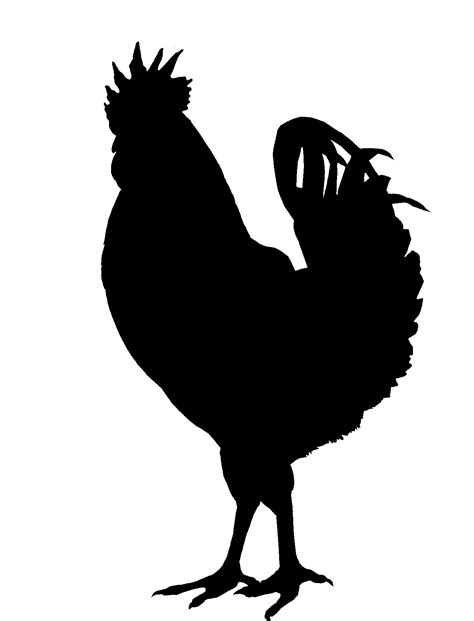 Free Chicken Silhouette Png Transparent Image