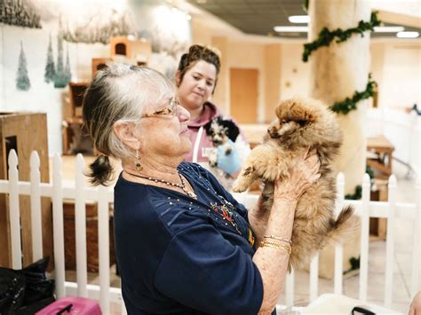 Petland Makes a Visit to Community Center - Petland Florida
