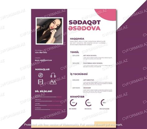 Online CV Hazırlamaq PDF Azerbaycan Dilinde Professional CV