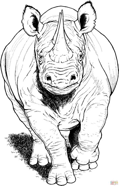 Black Rhino Running Coloring Page Free Printable Coloring Pages