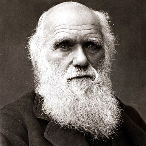 Charles Darwin - Theory, Book & Quotes - Biography