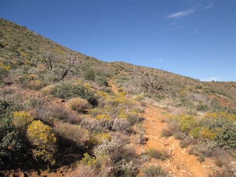 Quien Sabe Peak Arizona Peakbagging Highpoints And Mountains