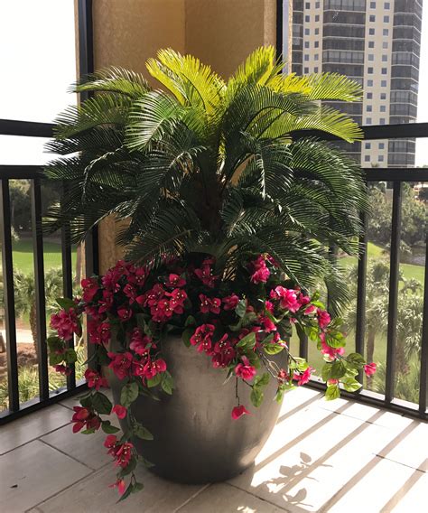 Potted plants improve your quality of life by increasing mood, productivity, and happiness. A cycas palm underplanted with fuschia bougainvillea looks ...