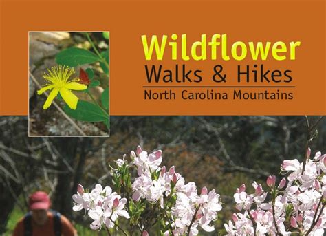 Wildflower Walks And Hikes North Carolina Mountains The Laurel Of
