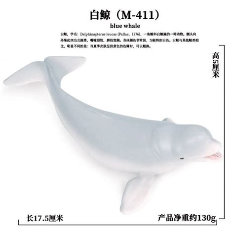Oenux Simulation Model Of Marine Animal Whale Killer Whales Sperm