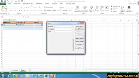 Excel Avanzado 2013 Formulario Para Introducir Datos Youtube
