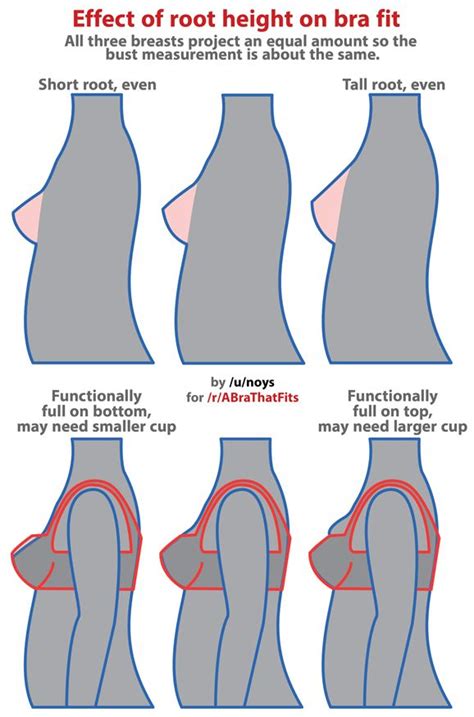 If a 34b is too large of a cup size try a 36a instead. Pin on Bra Fitting Resources