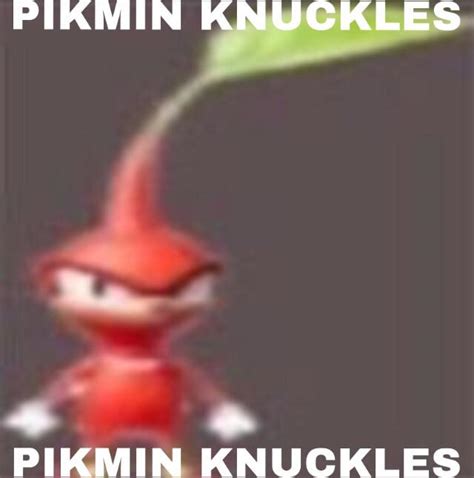 Pikmin Knuckles Memes
