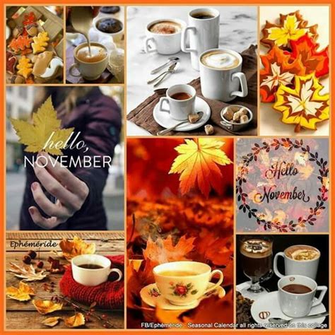 Éphéméride Seasonal Calendar Ephemeride Novembre Lumiere De Vie