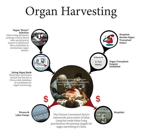 A Look At Organ Harvesting In China As Condemnation Moves Through Us