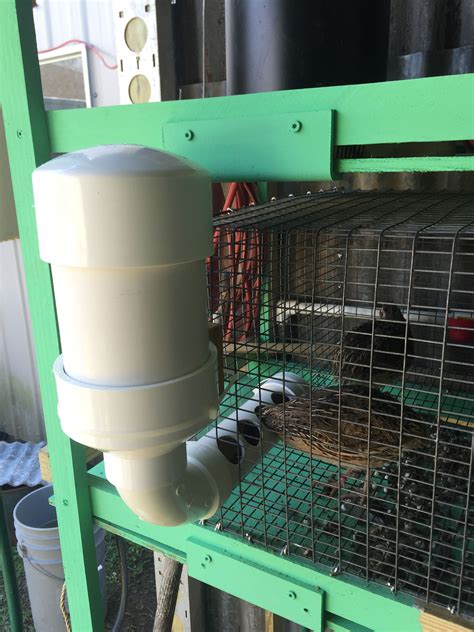 7.1 hay feeder rack food dispenser, guarantees clean and dry hay, alfalfa and other grasses. I'm in the process of making some feeders for my coturnix ...