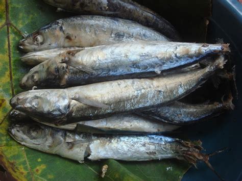 Proses dari tongkol menjadi pindang. Mengenal Ikan Pindang dan Bagaimana Cara Pengolahannya