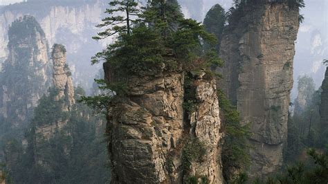 Wallpaper Trees Landscape China Rock Nature Cliff National Park