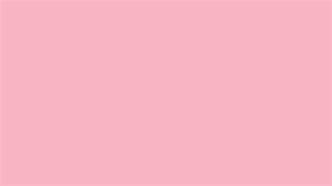 Pastel Background Solid Pink Museonart