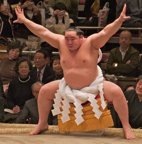 Asash Ry Akinori Sumo Wrestler Martial Arts Training Wrestler