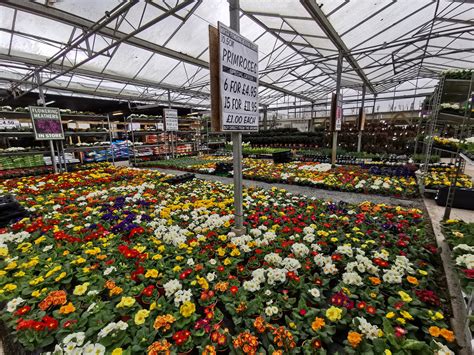 Plants Galore - Plymouth | Garden Centre and Hardware Store