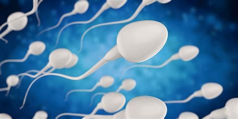 8 Fakta Menelan Sperma Yang Mungkin Belum Anda Ketahui