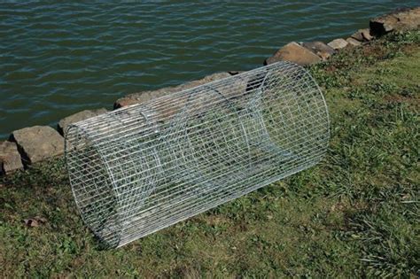 How to build your own fishing trap | Five Gallon Ideas