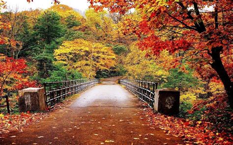 Buy Avikalp Awi3285 Beautiful Autumn Scenery Bridge
