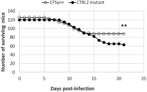 Human herpes virus 1 (hhv1) is also known as herpes simplex virus 1 (hsv1). The CCCTC Binding Factor, CTRL2, Modulates Heterochromatin ...
