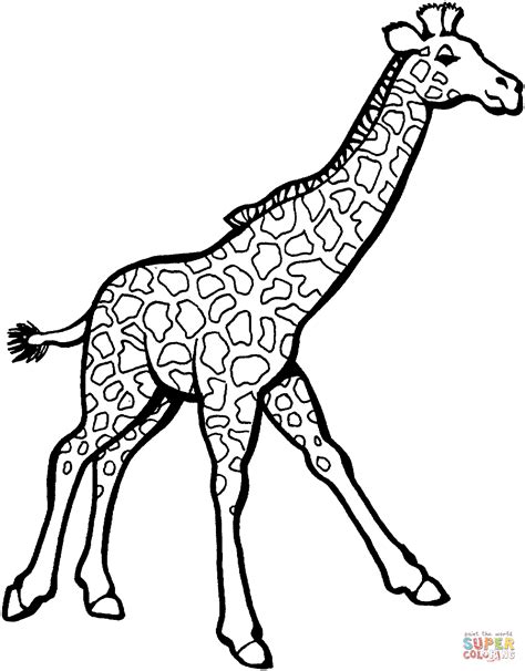 70 Desenhos De Girafa Para Colorir E Imprimir