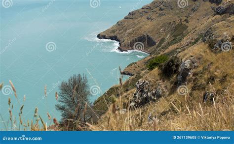 Seascape From A National Park In New Zealand A Sea Bay With A Rocky