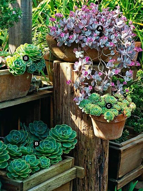 113 Best Images About Creative Container Gardens On