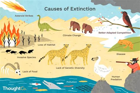 What Causes A Plant Or Animal To Go Extinct Species Extinction