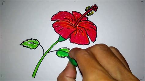 Inspirasi 35 Cara Menggambar Bunga Sepatu